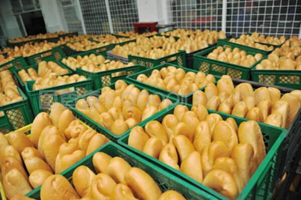 現(xiàn)代面包工廠 食品生產的科學流程與質量管理