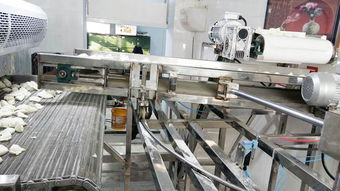 天嘉SD-03速凍水餃流水線 滎陽(yáng)天嘉食品機(jī)械制造廠的日用百貨生產(chǎn)利器